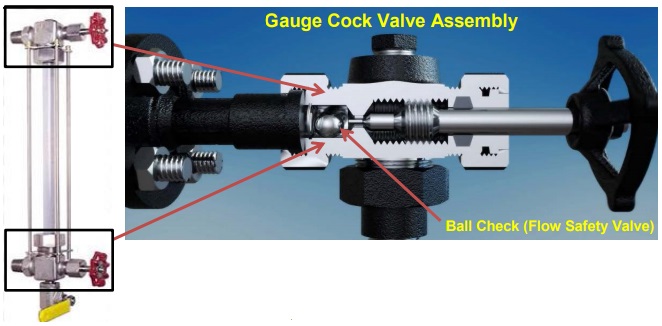 BSEE check valves alert