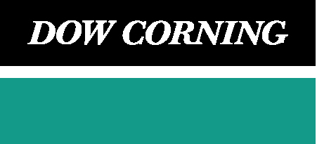Dow Corning 2002 Logo - Color