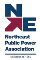 NE power association logo