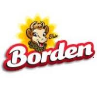 bordendairy logo