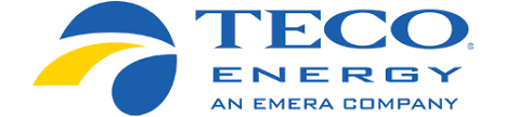 tecoenergy logo
